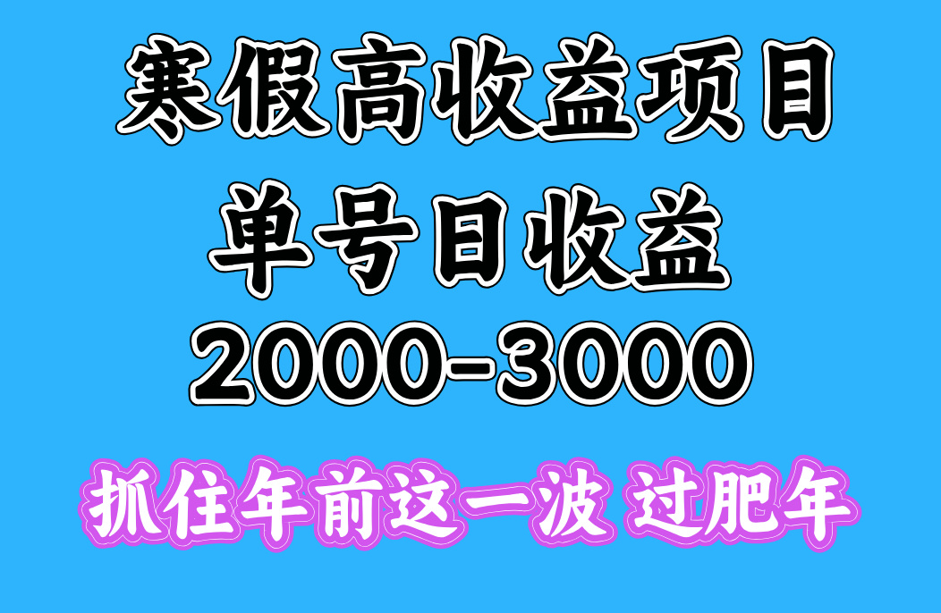 寒假期间一天收益2000-3000+，抓住年前这一波武野创库-网创项目资源站-副业项目-创业项目-搞钱项目武野创库