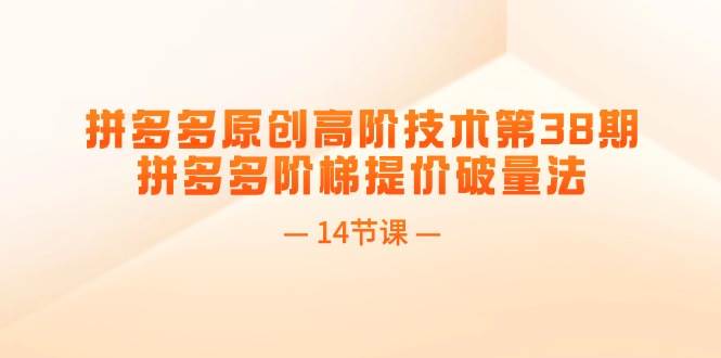 拼多多原创高阶技术第38期,拼多多阶梯提价破量法(14节课)网创吧-网创项目资源站-副业项目-创业项目-搞钱项目网创吧