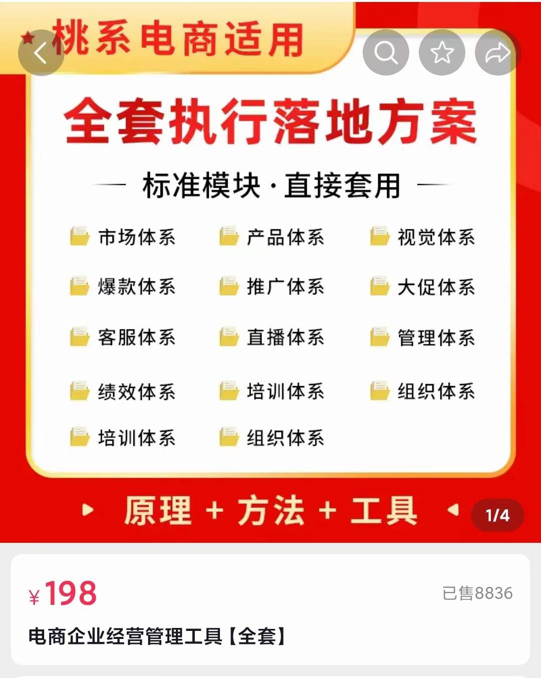 外面卖198·电商企业经营管理工具:全套执行落地方案 标准模块·直接套用网创吧-网创项目资源站-副业项目-创业项目-搞钱项目网创吧