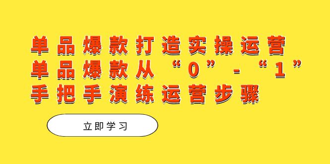 单品爆款打造实操运营，单品爆款从“0”-“1”手把手演练运营步骤武野创库-网创项目资源站-副业项目-创业项目-搞钱项目武野创库