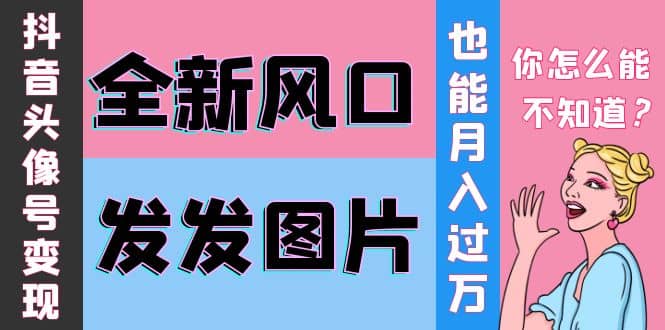 抖音头像号变现0基础教程武野创库-网创项目资源站-副业项目-创业项目-搞钱项目武野创库