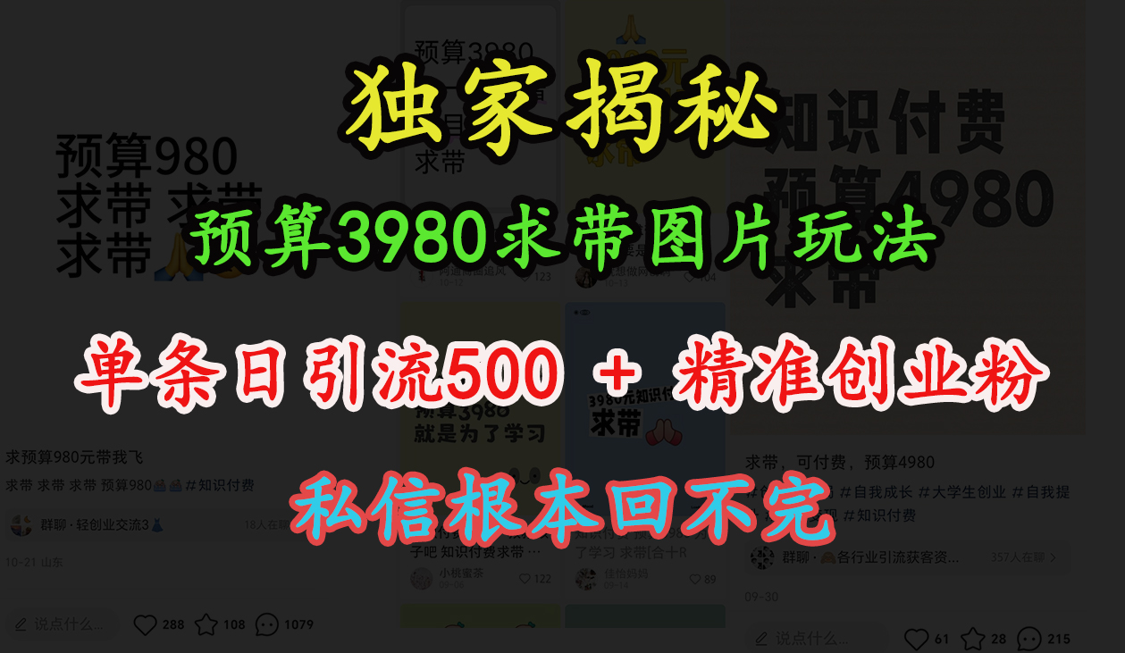 “小红书”预算3980求带 图片玩法,单条日引流500+精准创业粉,私信根本回不完武野创库-网创项目资源站-副业项目-创业项目-搞钱项目武野创库