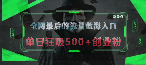全网最后的流量蓝海入口，半小时引流50+创业粉，单日狂吸500+创业粉网创吧-网创项目资源站-副业项目-创业项目-搞钱项目武野创库
