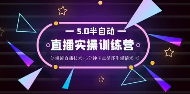 蚂蚁·5.0半自动直播2345打法，半自动爆流直播技术+5分钟卡点循环引爆话术武野创库-网创项目资源站-副业项目-创业项目-搞钱项目武野创库
