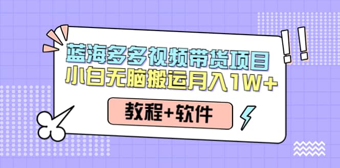 人人都能操作的蓝海多多视频带货项目 小白无脑搬运（教程+软件）武野创库-网创项目资源站-副业项目-创业项目-搞钱项目武野创库