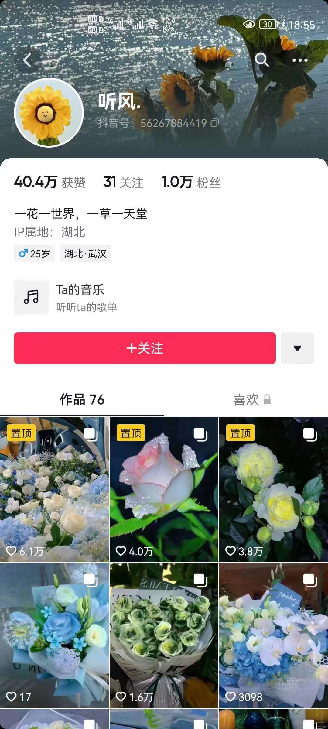 图片[2]武野创库-网创项目资源站-副业项目-创业项目-搞钱项目抖音壁纸变现项目：实战日入380+发布壁纸素材获取收益！武野创库-网创项目资源站-副业项目-创业项目-搞钱项目武野创库