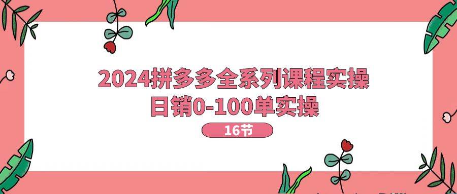 2024拼多多全系列课程实操,日销0-100单实操【16节课】武野创库-网创项目资源站-副业项目-创业项目-搞钱项目武野创库