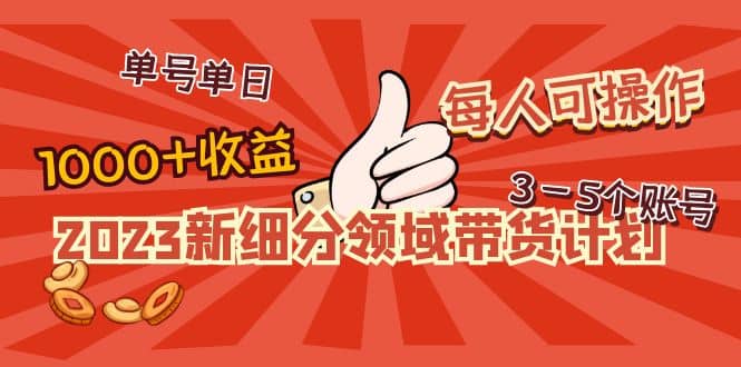 2023新细分领域带货计划：单号单日1000+收益不难，每人可操作3-5个账号武野创库-网创项目资源站-副业项目-创业项目-搞钱项目武野创库