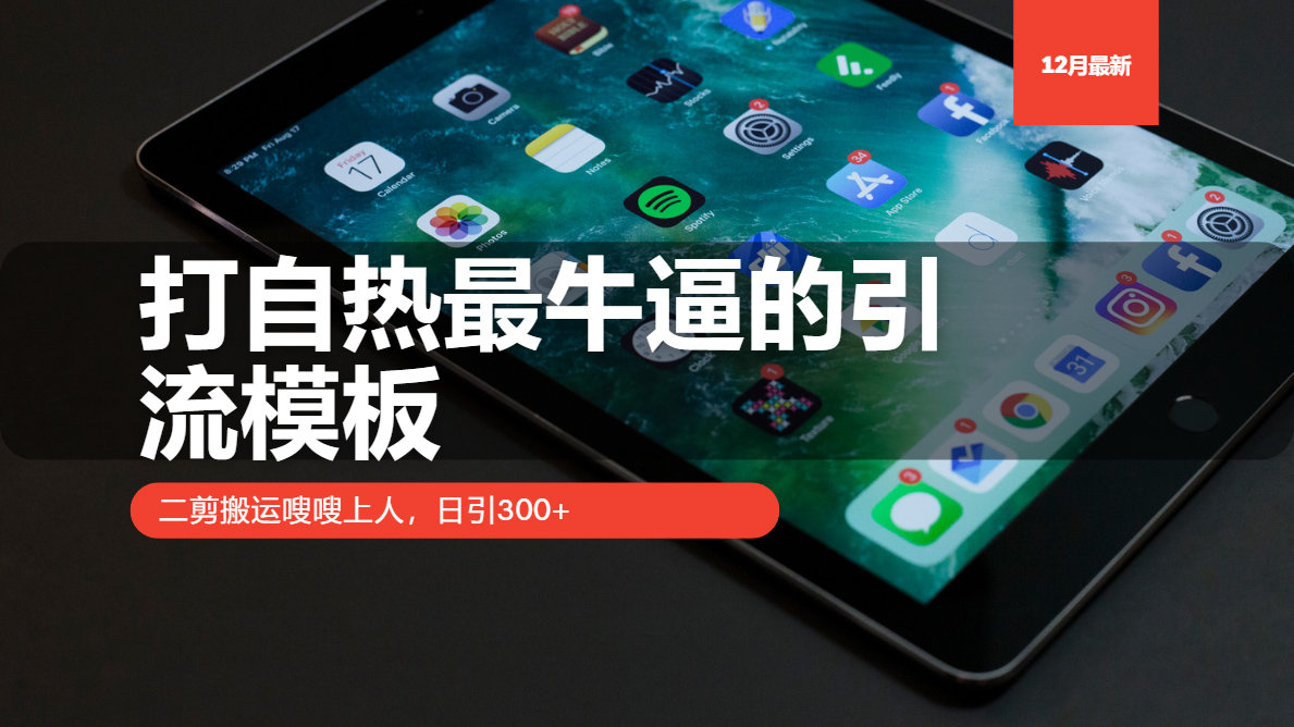 打自热最牛逼的引流模板,日引300+,二剪搬运嗖嗖上人武野创库-网创项目资源站-副业项目-创业项目-搞钱项目武野创库