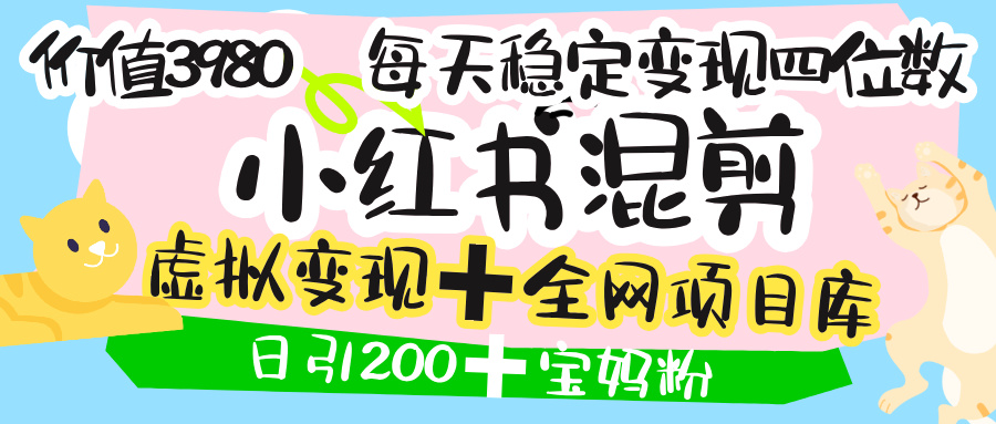 价值3980的小红书混剪, 虚拟变现 +全网项目库 , 日引200+宝妈创业粉,每天稳定四位数变现武野创库-网创项目资源站-副业项目-创业项目-搞钱项目武野创库