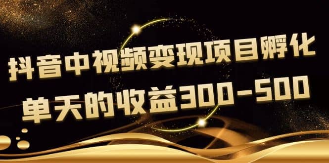 黄岛主《抖音中视频变现项目孵化》单天的收益300-500 操作简单粗暴武野创库-网创项目资源站-副业项目-创业项目-搞钱项目武野创库