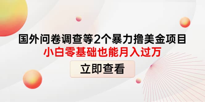 国外问卷调查等2个暴力撸美元项目，小白零基础也能月入过万武野创库-网创项目资源站-副业项目-创业项目-搞钱项目武野创库