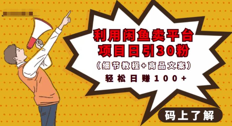利用闲鱼卖平台项目课程资源日引流30+精准粉丝,轻松日赚100+,积累人脉可实现二次变现(细节教程+商品文案)武野创库-网创项目资源站-副业项目-创业项目-搞钱项目武野创库