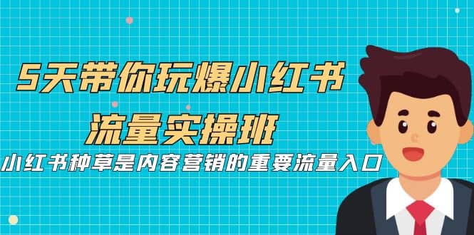 5天带你玩爆小红书流量实操班,小红书种草是内容营销的重要流量入口网创吧-网创项目资源站-副业项目-创业项目-搞钱项目网创吧