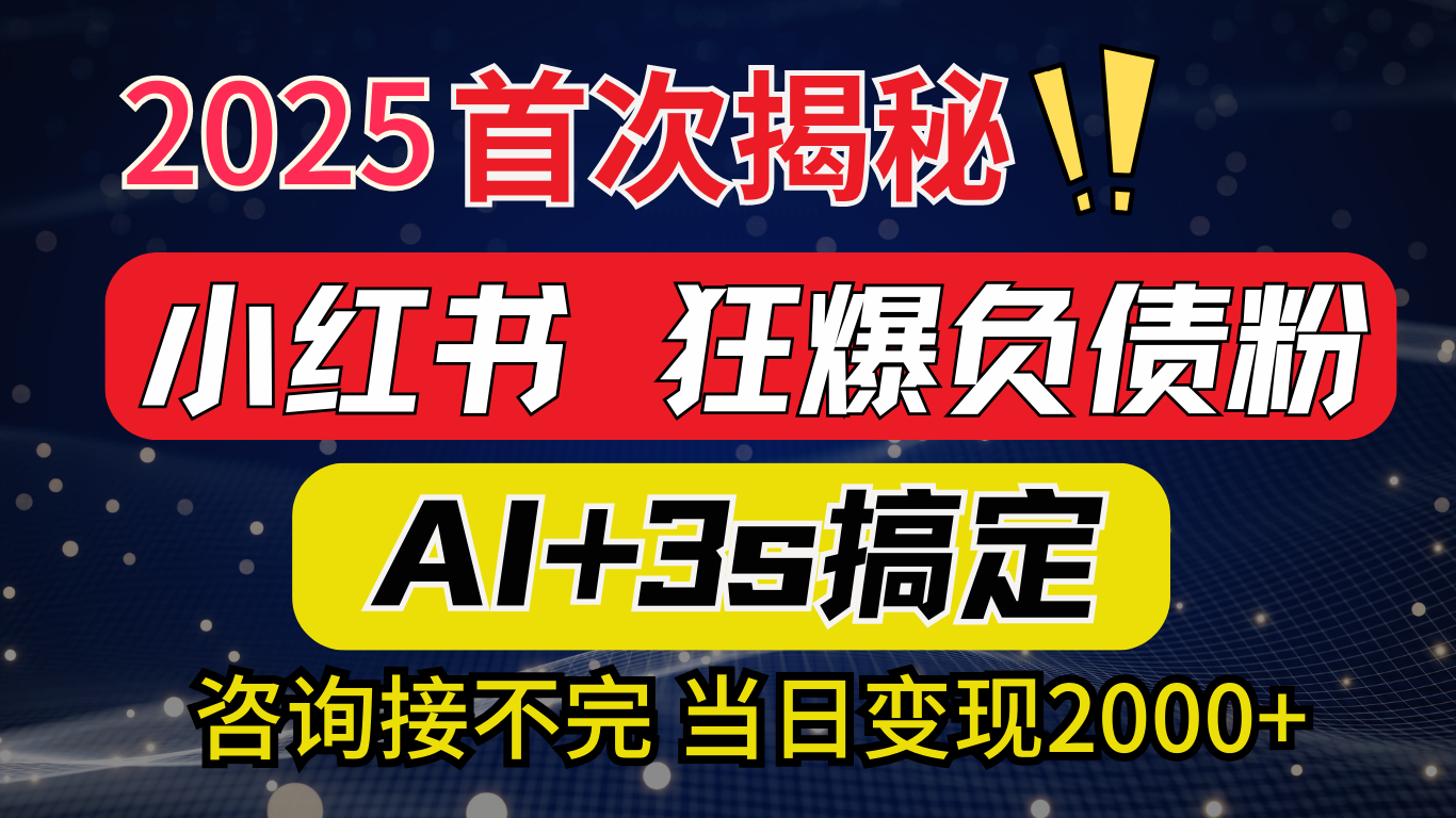 2025引流天花板：最新小红书狂暴负债粉思路，咨询接不断，当日入2000+网创吧-网创项目资源站-副业项目-创业项目-搞钱项目武野创库