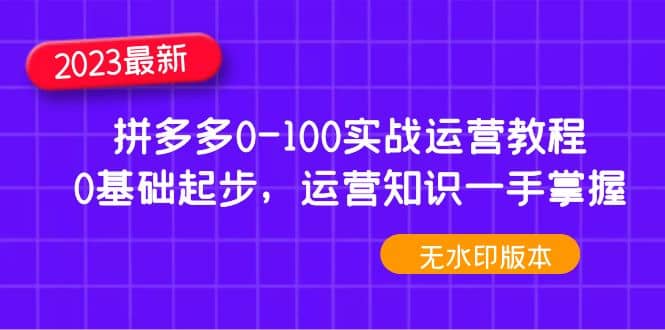 2023拼多多0-100实战运营教程，0基础起步，运营知识一手掌握（无水印）武野创库-网创项目资源站-副业项目-创业项目-搞钱项目武野创库