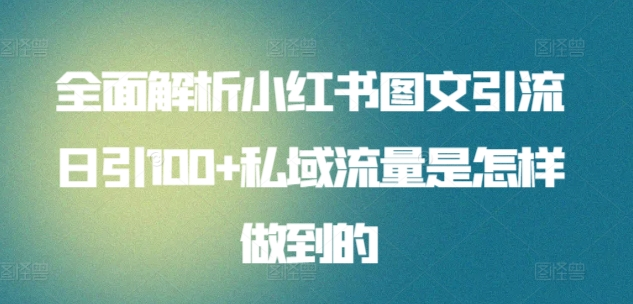 日引流100私域流量小红书图文是怎样做到的全面解析武野创库-网创项目资源站-副业项目-创业项目-搞钱项目武野创库