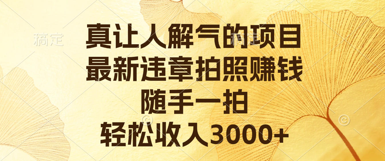 真让人解气的项目，最新违章拍照赚钱，随手一拍，轻松收入3000+网创吧-网创项目资源站-副业项目-创业项目-搞钱项目网创吧