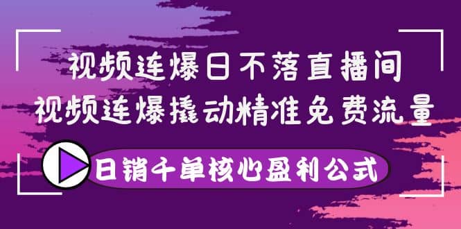 视频连爆日不落直播间，视频连爆撬动精准免费流量，日销千单核心盈利公式武野创库-网创项目资源站-副业项目-创业项目-搞钱项目武野创库