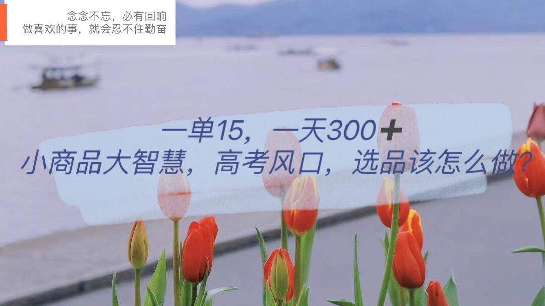 一单15,一天300+,小商品大智慧,高考风口,选品该怎么布局网创吧-网创项目资源站-副业项目-创业项目-搞钱项目网创吧