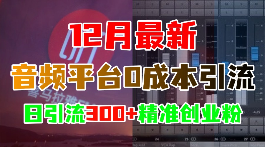 12月最新:音频平台0成本引流,日引300+精准创业粉武野创库-网创项目资源站-副业项目-创业项目-搞钱项目武野创库