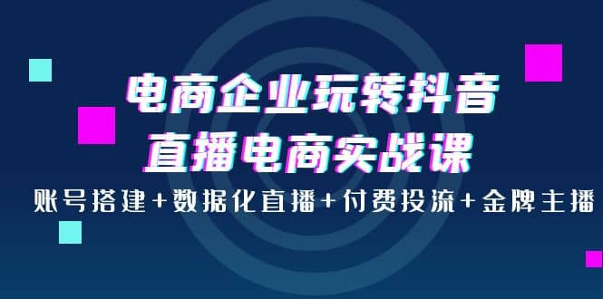 电商企业玩转抖音直播电商实战课：账号搭建+数据化直播+付费投流+金牌主播武野创库-网创项目资源站-副业项目-创业项目-搞钱项目武野创库