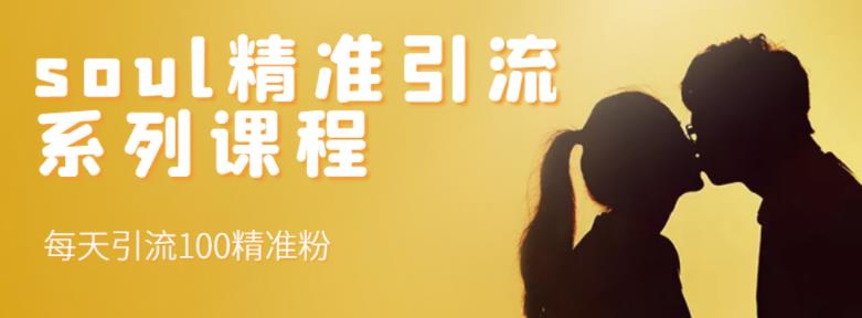 soul精准引流系列课程,每天引流100精准粉网创吧-网创项目资源站-副业项目-创业项目-搞钱项目网创吧