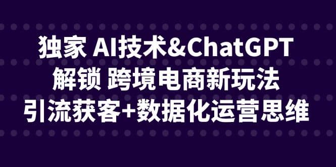 独家 AI技术ChatGPT解锁 跨境电商新玩法，引流获客+数据化运营思维武野创库-网创项目资源站-副业项目-创业项目-搞钱项目武野创库