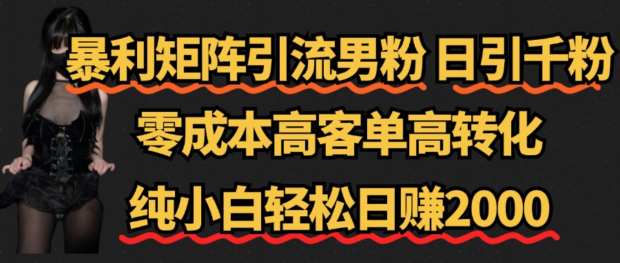 暴利矩阵引流男粉(日引千粉),零成本高客单高转化,纯小白轻松日赚2000+武野创库-网创项目资源站-副业项目-创业项目-搞钱项目武野创库