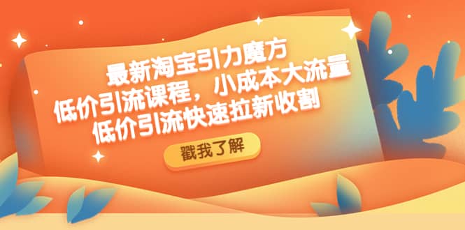 最新淘宝引力魔方低价引流实操:小成本大流量网创吧-网创项目资源站-副业项目-创业项目-搞钱项目网创吧