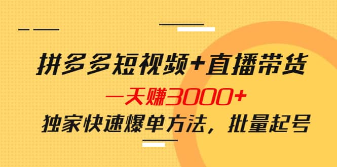 拼多多短视频+直播带货,一天赚3000+独家快速爆单方法,批量起号网创吧-网创项目资源站-副业项目-创业项目-搞钱项目网创吧