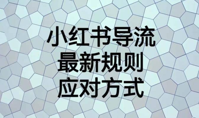 小红书导流最新规则应对方式【揭秘】武野创库-网创项目资源站-副业项目-创业项目-搞钱项目武野创库