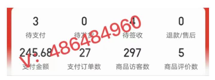 拼多多虚拟开店打卡群：新手到入门到精通武野创库-网创项目资源站-副业项目-创业项目-搞钱项目武野创库