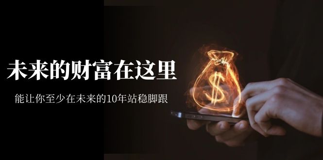 某收费文章《未来的财富在这里》能让你至少在未来的10年站稳脚跟武野创库-网创项目资源站-副业项目-创业项目-搞钱项目武野创库