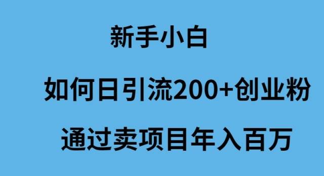 新手小白如何日引流200+创业粉通过卖项目年入百万武野创库-网创项目资源站-副业项目-创业项目-搞钱项目武野创库
