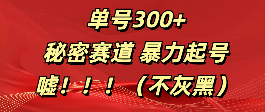 单号300+ 秘密赛道 暴力起号 (不灰黑)网创吧-网创项目资源站-副业项目-创业项目-搞钱项目网创吧