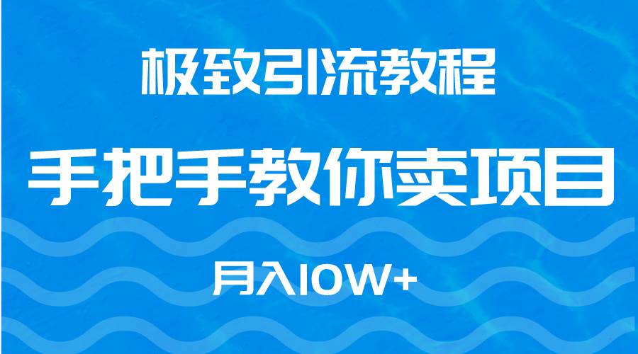 极致引流教程，手把手教你卖项目，月入10W+武野创库-网创项目资源站-副业项目-创业项目-搞钱项目武野创库