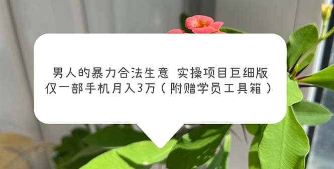 男人的暴力合法生意实操项目巨细版：仅一部手机月入3w（附赠学员工具箱）武野创库-网创项目资源站-副业项目-创业项目-搞钱项目武野创库