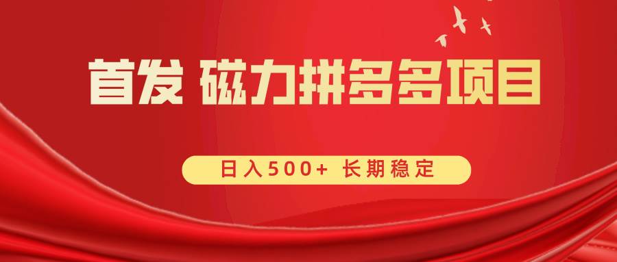首发 磁力拼多多自撸  日入500+武野创库-网创项目资源站-副业项目-创业项目-搞钱项目武野创库