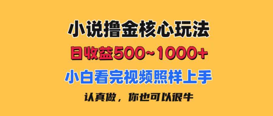小说撸金核心玩法，日收益500-1000+，小白看完照样上手，0成本有手就行武野创库-网创项目资源站-副业项目-创业项目-搞钱项目武野创库