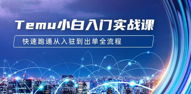 Temu小白入门实战课：跨境拼多多电商培训 快速跑通从入驻到出单全流程-12节武野创库-网创项目资源站-副业项目-创业项目-搞钱项目武野创库