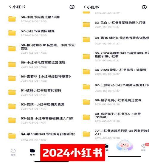 0基础知识付费玩法 小白也能日入500+ 实操教程武野创库-网创项目资源站-副业项目-创业项目-搞钱项目武野创库