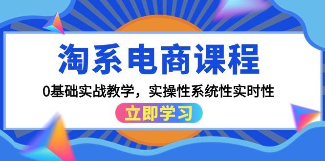 淘系电商课程，0基础实战教学，实操性系统性实时性（15节课）武野创库-网创项目资源站-副业项目-创业项目-搞钱项目武野创库