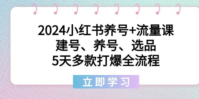 2024小红书养号+流量课：建号、养号、选品，5天多款打爆全流程武野创库-网创项目资源站-副业项目-创业项目-搞钱项目武野创库