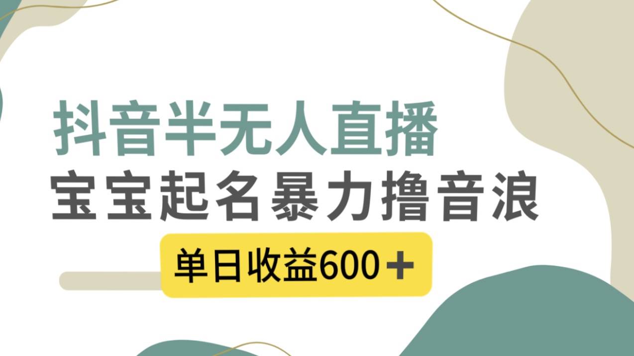 抖音半无人直播,宝宝起名,暴力撸音浪,单日收益600+网创吧-网创项目资源站-副业项目-创业项目-搞钱项目网创吧