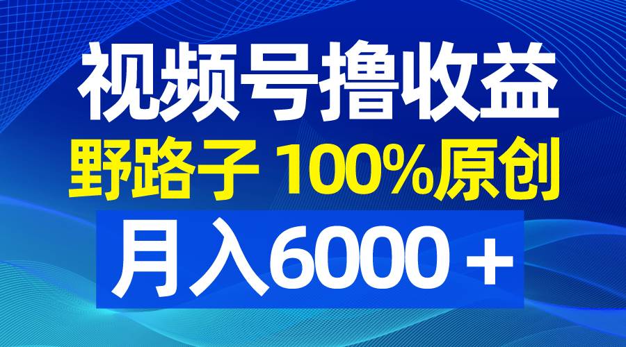 视频号野路子撸收益,100%原创,条条爆款,月入6000+网创吧-网创项目资源站-副业项目-创业项目-搞钱项目网创吧