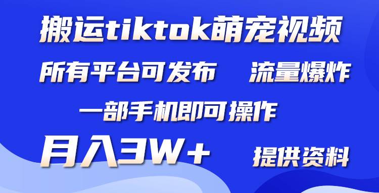 搬运Tiktok萌宠类视频，一部手机即可。所有短视频平台均可操作，月入3W+武野创库-网创项目资源站-副业项目-创业项目-搞钱项目武野创库