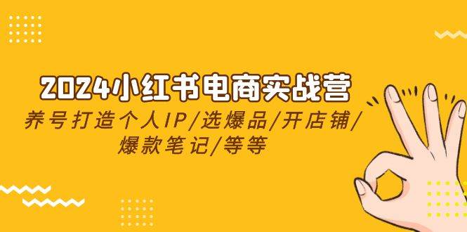 2024小红书电商实战营,养号打造IP/选爆品/开店铺/爆款笔记/等等(24节)网创吧-网创项目资源站-副业项目-创业项目-搞钱项目网创吧