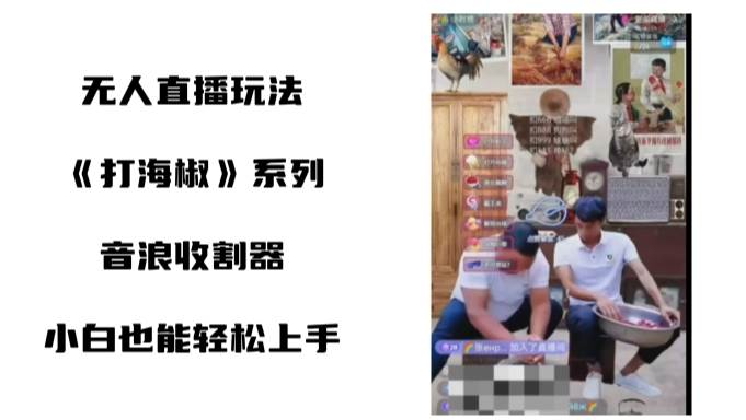 打海椒无人直播整蛊项目,小白轻松上手撸音浪收割器(教程+工具+素材)网创吧-网创项目资源站-副业项目-创业项目-搞钱项目网创吧