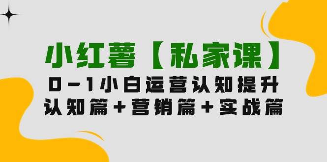 小红薯【私家课】0-1玩赚小红书内容营销,认知篇+营销篇+实战篇(11节课)网创吧-网创项目资源站-副业项目-创业项目-搞钱项目网创吧